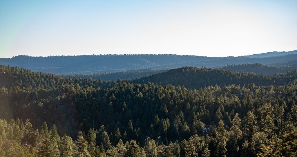 Endless pine forest rolling across the Sacramento Mountains