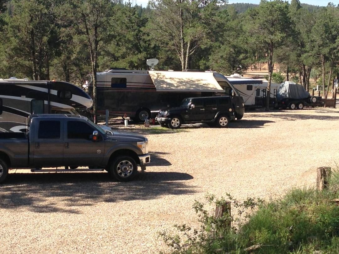 Large fifth wheels and trucks on shaded full-hookup sites under tall pines