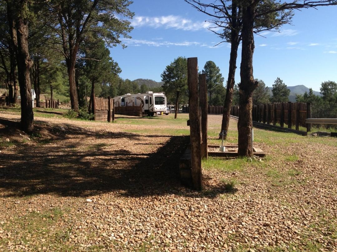 Gravel RV site shaded by tall ponderosa pines at RV Resorts of Ruidoso