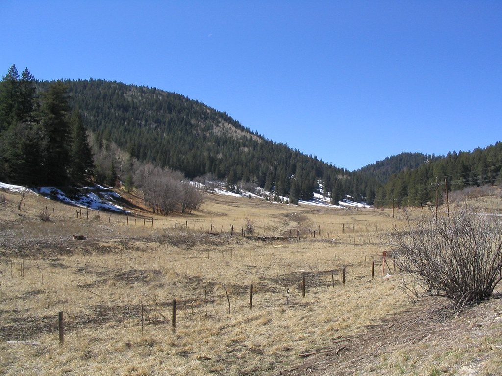 Rugged pine covered terrain in the Sacramento Mountains